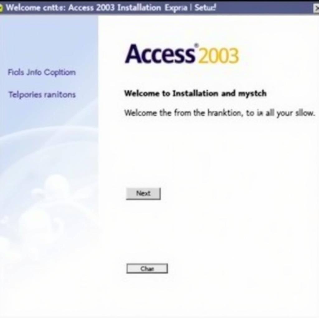 Access 2003 Installation Wizard