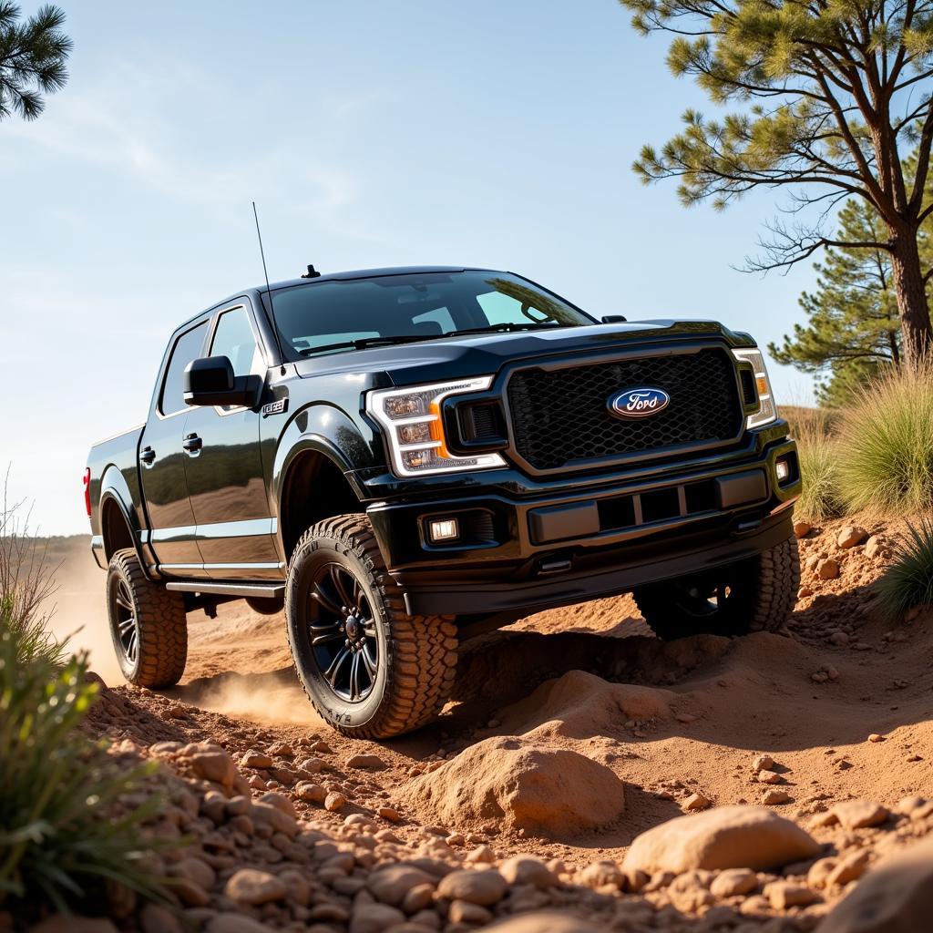 Ford F-150 Platinum Off-road