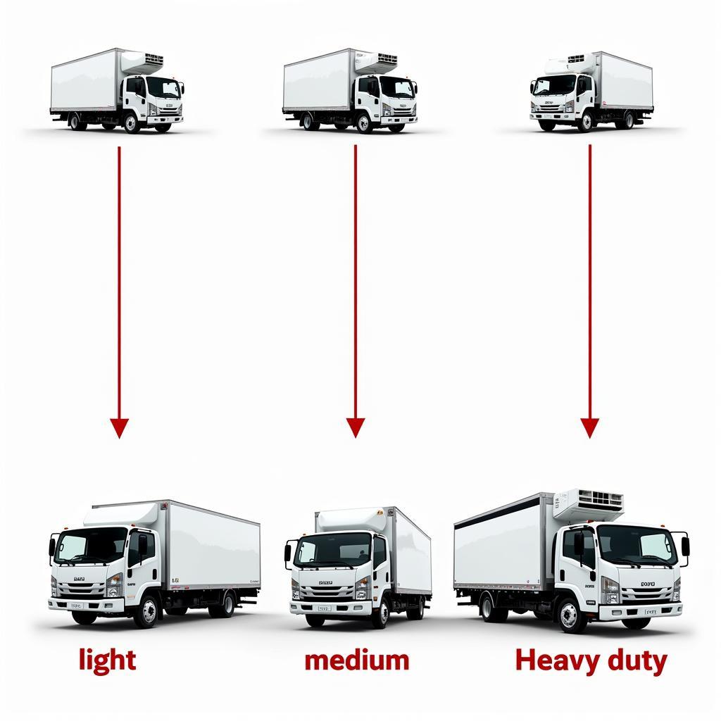 Phân loại xe tải thùng Isuzu