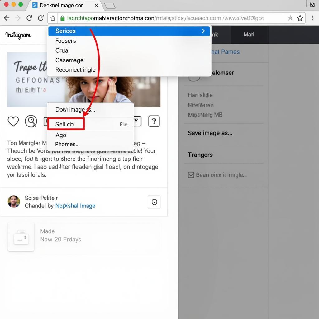 Tải Ảnh Instagram Trên Trình Duyệt