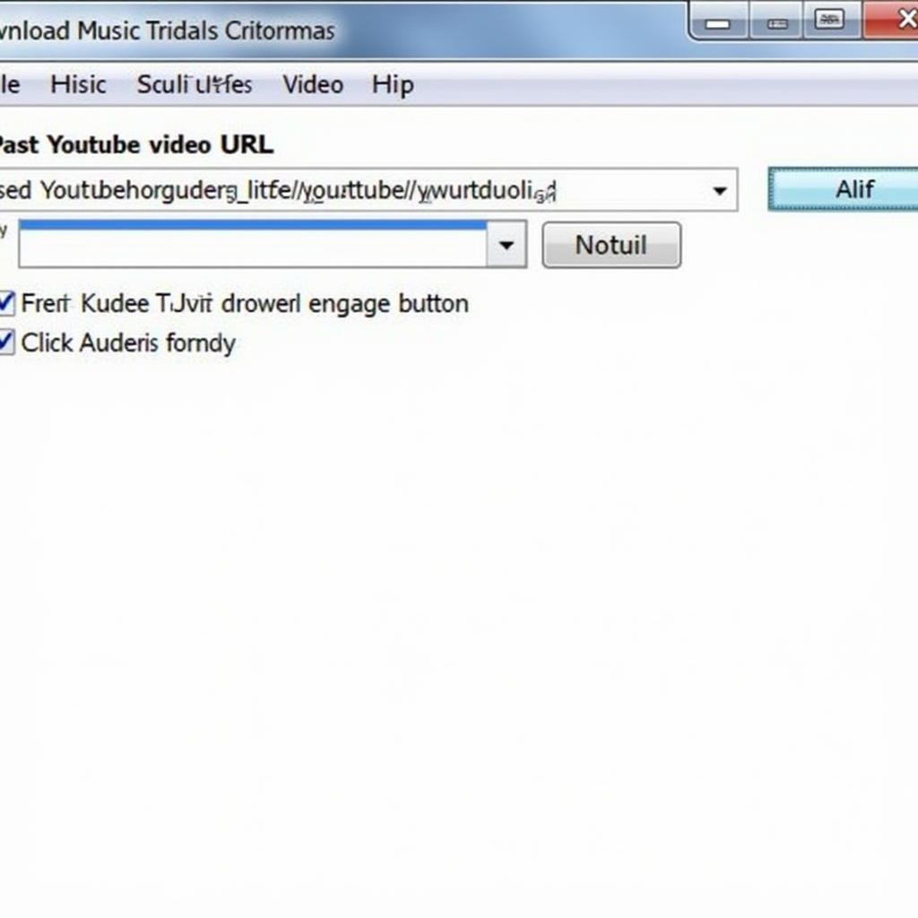 Download music from YouTube using software