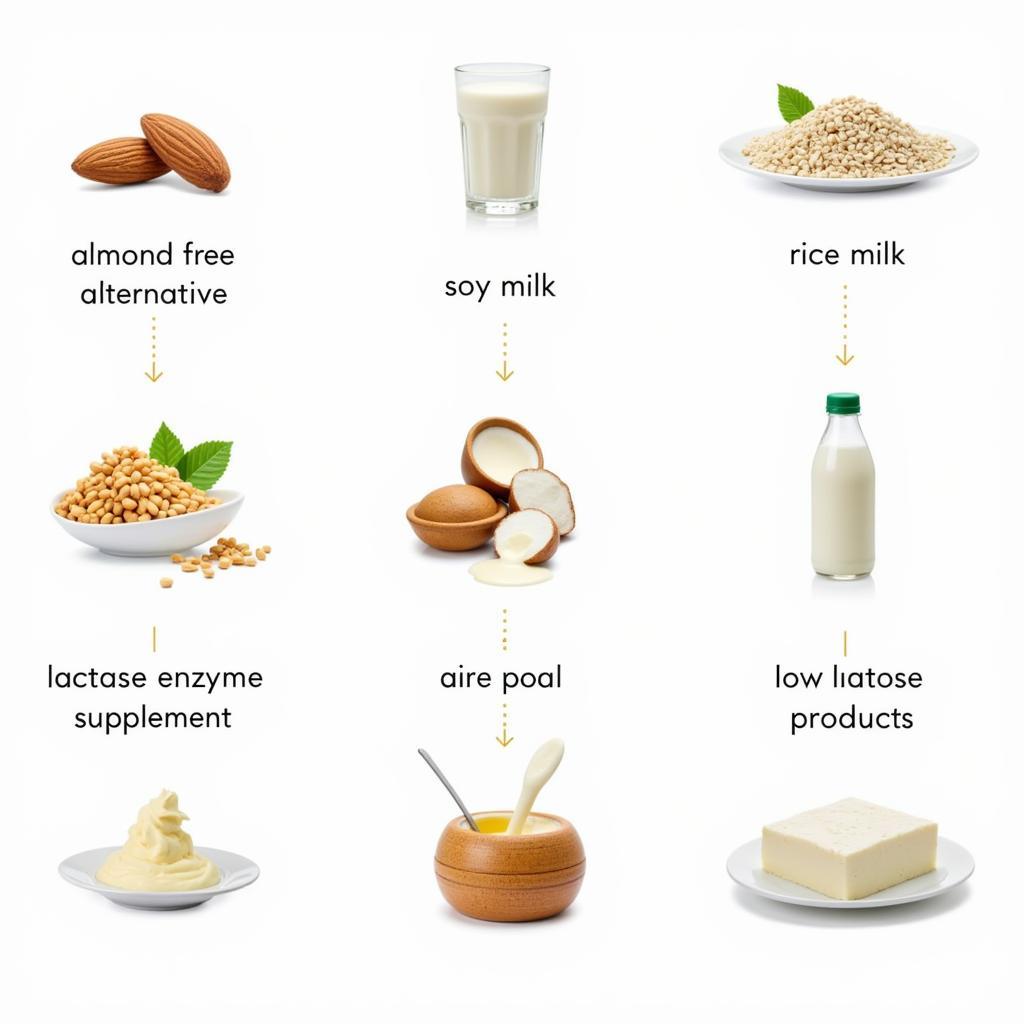 Giải pháp cho quá tải lactose