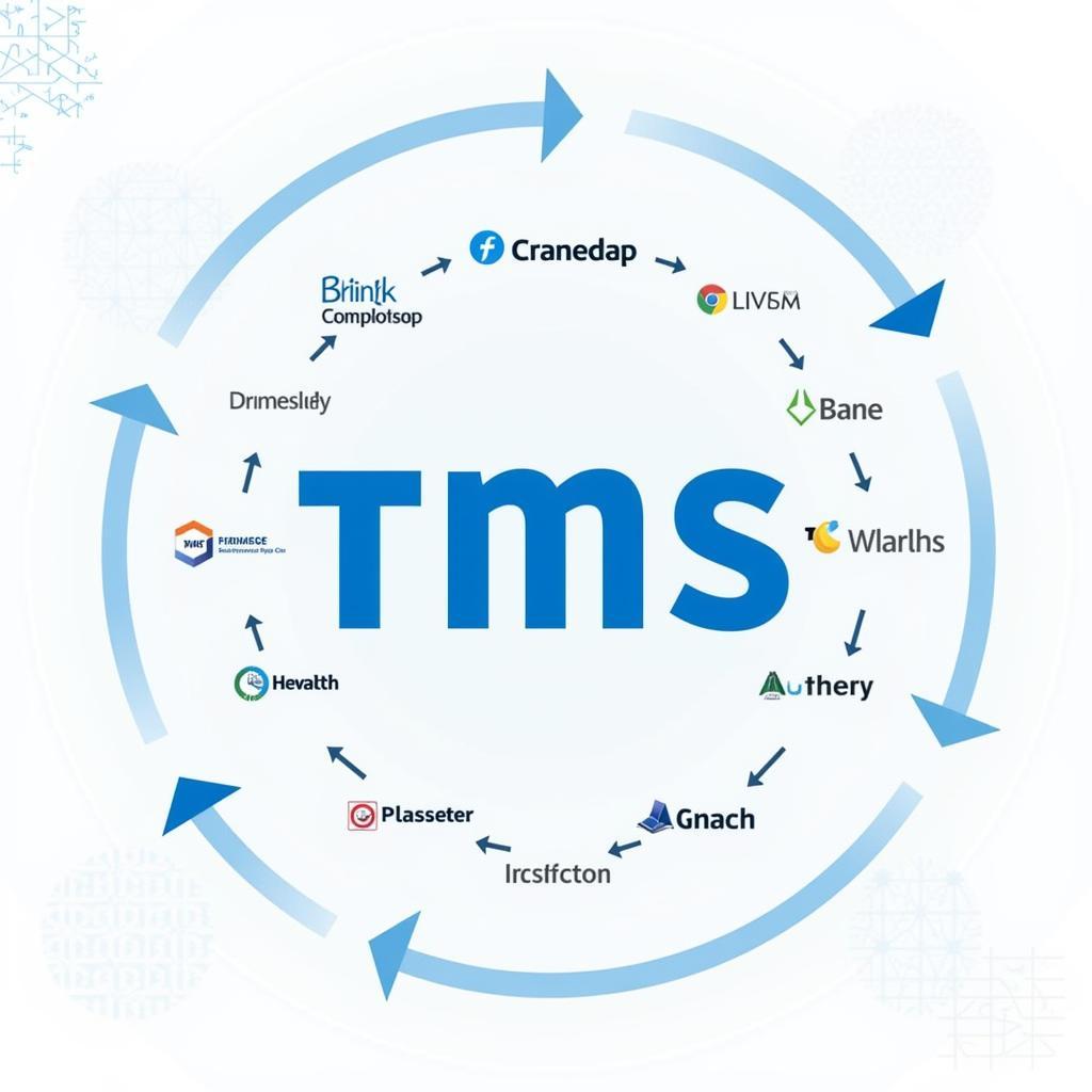 Ứng dụng TMS quản lý vận tải