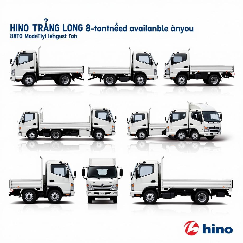 Các dòng xe tải Hino Trường Long 8 tấn đa dạng