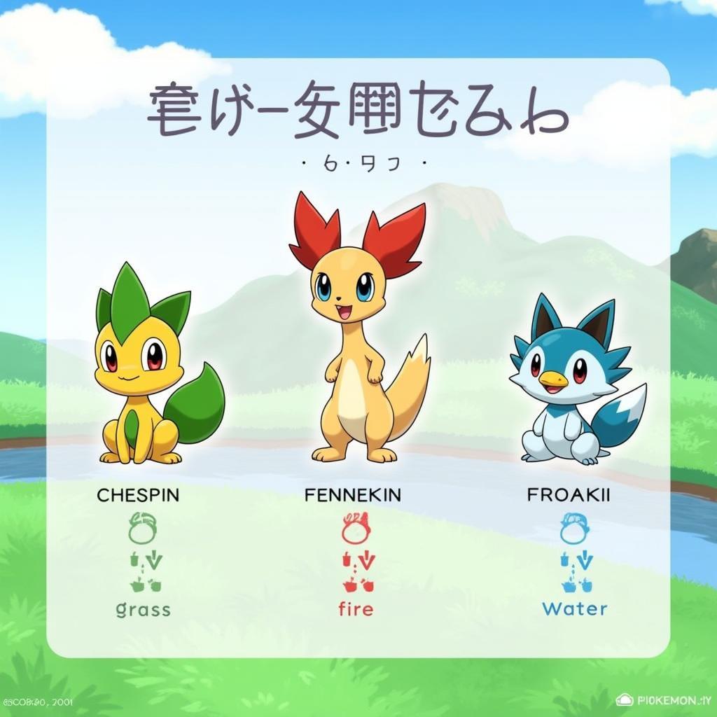 Pokemon XY Starter Pokemon