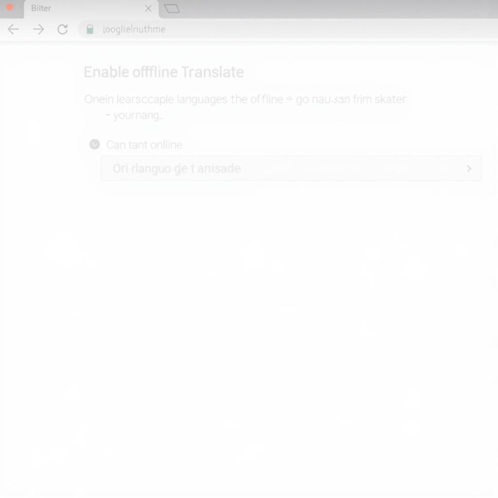 Sử Dụng Google Dịch Offline trên Chrome