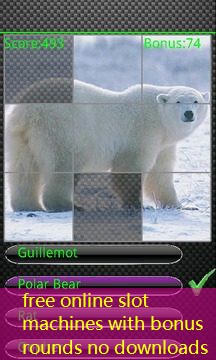 free online slot machines with bonus rounds no downloads